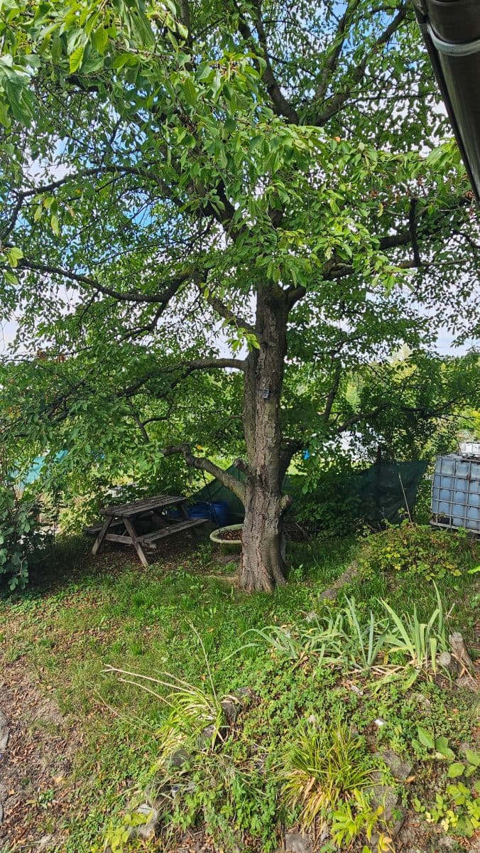 Prodej chaty, chalupy 650 m², pozemek 650 m², Štětí, Ústecký kraj Prodej chaty, chalupy 650 m², pozemek 650 m², Štětí, Ústecký kraj