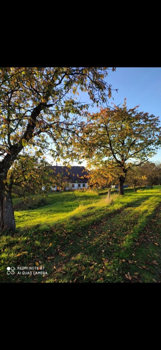Prodej domu 191 m², pozemek 4.200 m², Dolní Tošanovice, Moravskoslezský kraj Prodej domu 191 m², pozemek 4.200 m², Dolní Tošanovice, Moravskoslezský kraj
