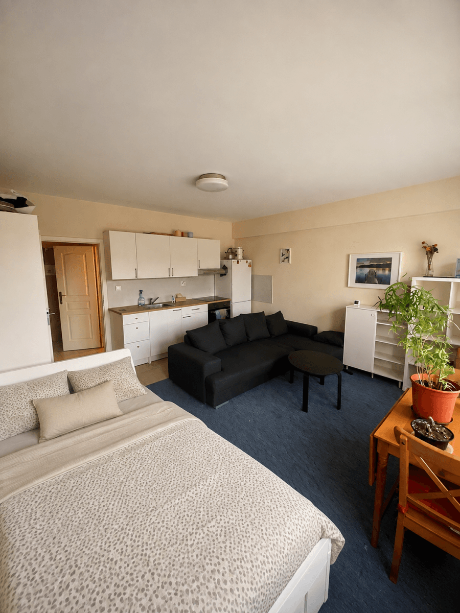 Pronájem bytu 30 m², Dalimilova, Praha, Praha Pronájem bytu 30 m², Dalimilova, Praha, Praha
