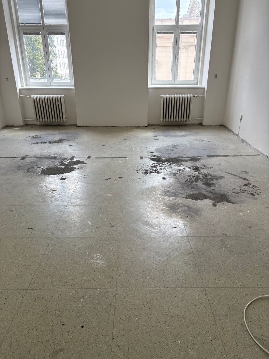 Pronájem kanceláře 118 m², Kounicova, Brno, Jihomoravský kraj Pronájem kanceláře 118 m², Kounicova, Brno, Jihomoravský kraj