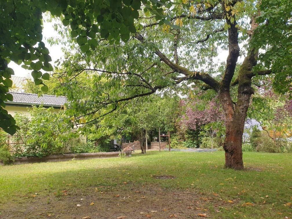 Prodej domu 313 m², pozemek 1.000 m², Ernst-Thälmann-Str. 8, Bad Belzig, Braniborsko Prodej domu 313 m², pozemek 1.000 m², Ernst-Thälmann-Str. 8, Bad Belzig, Braniborsko