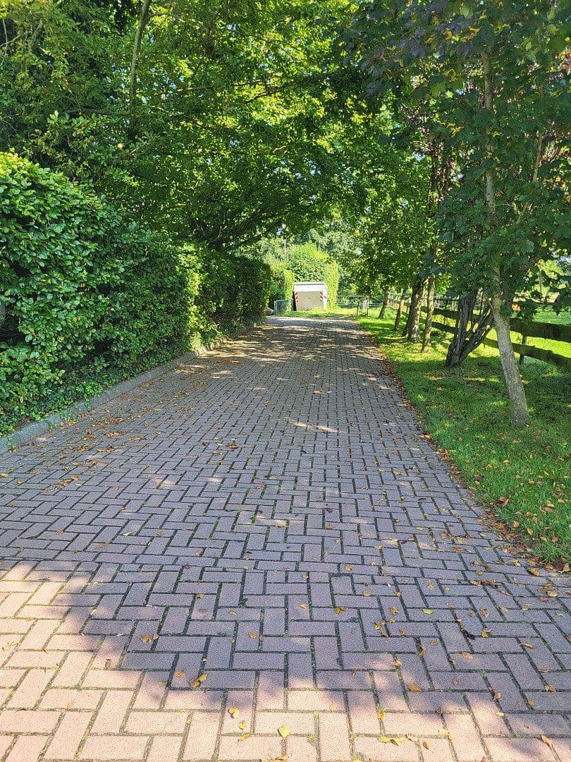 Prodej domu 360 m², pozemek 9.300 m², Halbemond, Dolní Sasko Prodej domu 360 m², pozemek 9.300 m², Halbemond, Dolní Sasko