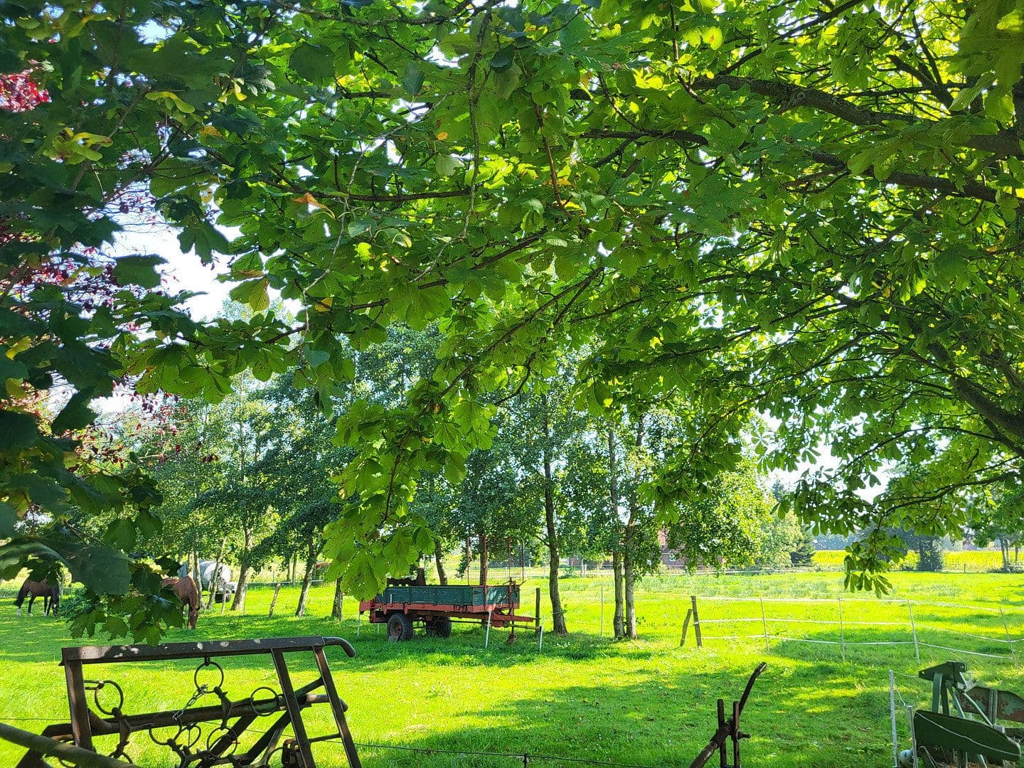 Prodej domu 360 m², pozemek 9.300 m², Halbemond, Dolní Sasko Prodej domu 360 m², pozemek 9.300 m², Halbemond, Dolní Sasko