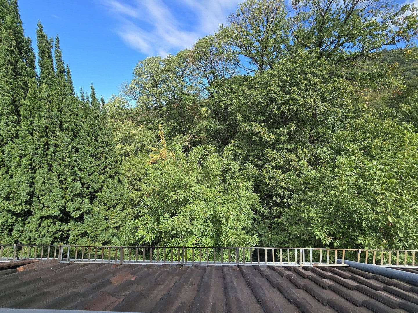 Prodej domu 247 m², pozemek 652 m², Heidelberg, Bádensko-Württembersko Prodej domu 247 m², pozemek 652 m², Heidelberg, Bádensko-Württembersko