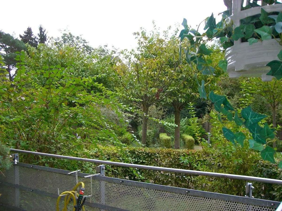 Pronájem bytu 2+1 71 m², Dorothenstrasse, Bad Homburg vor der Höhe, Hessen Pronájem bytu 2+1 71 m², Dorothenstrasse, Bad Homburg vor der Höhe, Hessen