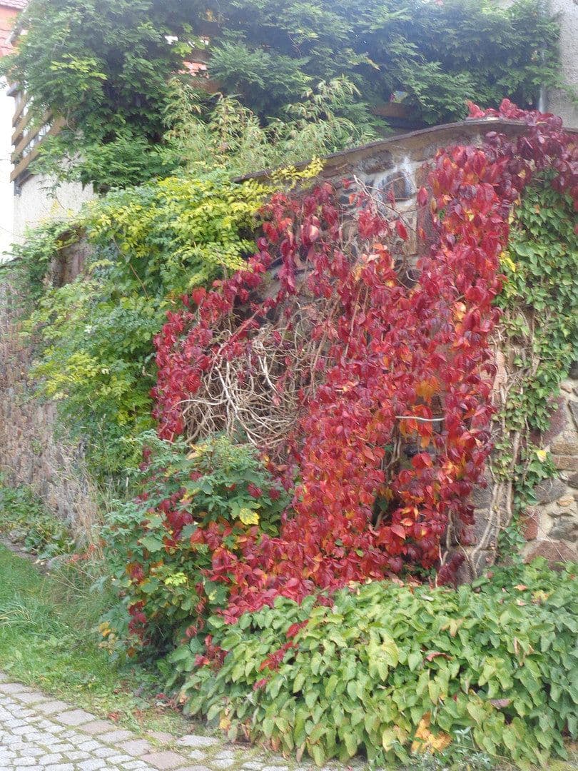 Prodej domu 207 m², pozemek 90 m², Penig, Sasko Prodej domu 207 m², pozemek 90 m², Penig, Sasko