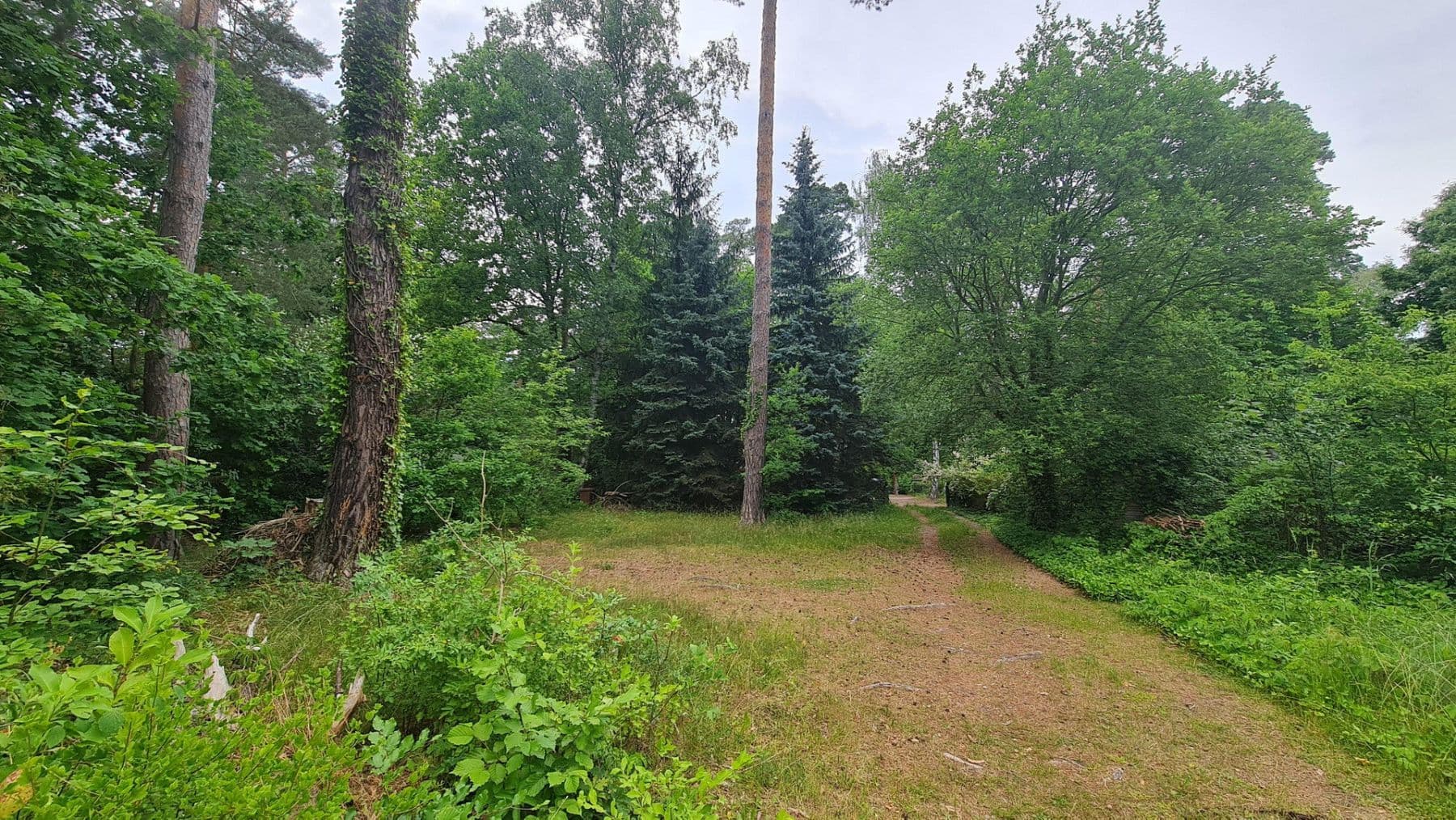 Prodej pozemku 1.096 m², Holunderweg 14, Wandlitz, Braniborsko Prodej pozemku 1.096 m², Holunderweg 14, Wandlitz, Braniborsko