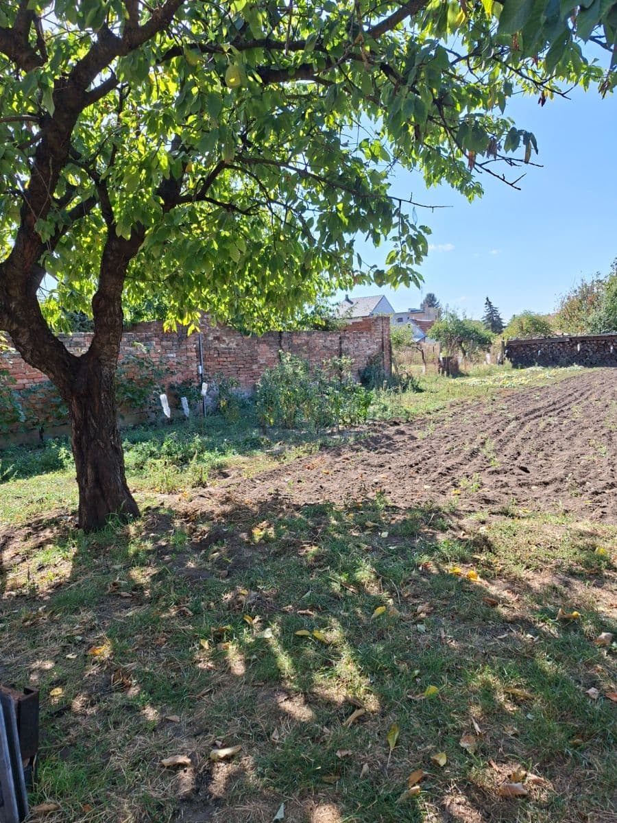 Prodej domu 459 m², pozemek 988 m², Dobré Pole, Jihomoravský kraj Prodej domu 459 m², pozemek 988 m², Dobré Pole, Jihomoravský kraj