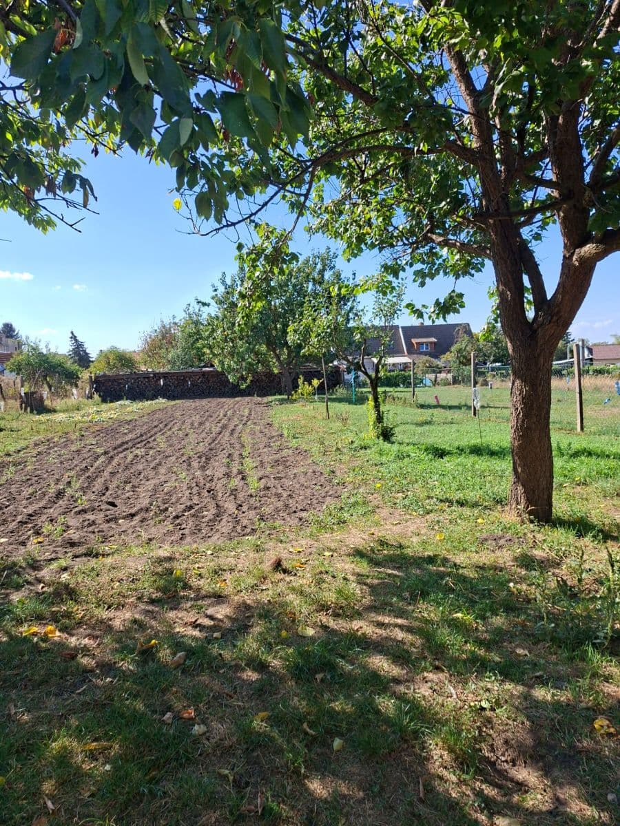 Prodej domu 459 m², pozemek 988 m², Dobré Pole, Jihomoravský kraj Prodej domu 459 m², pozemek 988 m², Dobré Pole, Jihomoravský kraj
