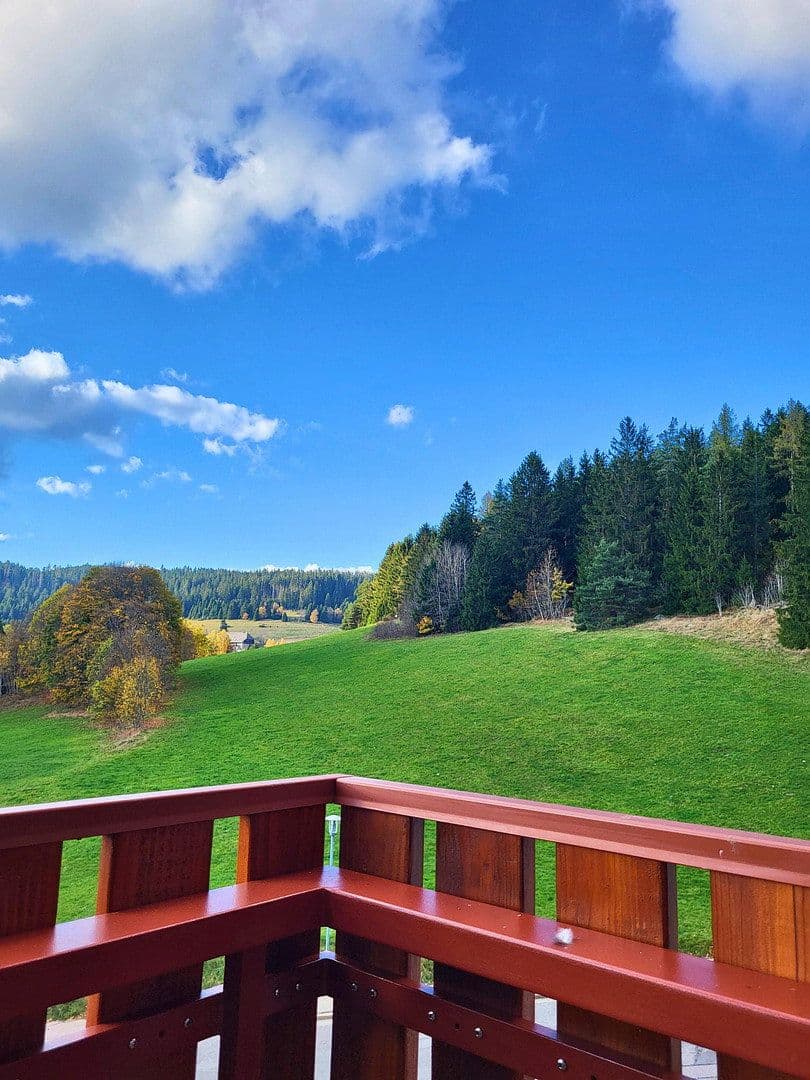Prodej bytu 3+1 86 m², Schluchsee, Bádensko-Württembersko Prodej bytu 3+1 86 m², Schluchsee, Bádensko-Württembersko