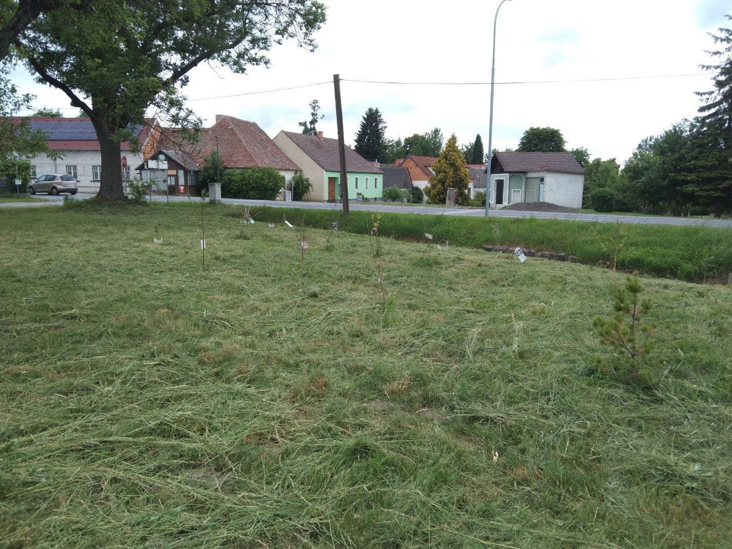 Pronájem bytu 5+1 70 m², Heinrichsreith 28, Drosendorf-Zissersdorf, Dolní Rakousko Pronájem bytu 5+1 70 m², Heinrichsreith 28, Drosendorf-Zissersdorf, Dolní Rakousko