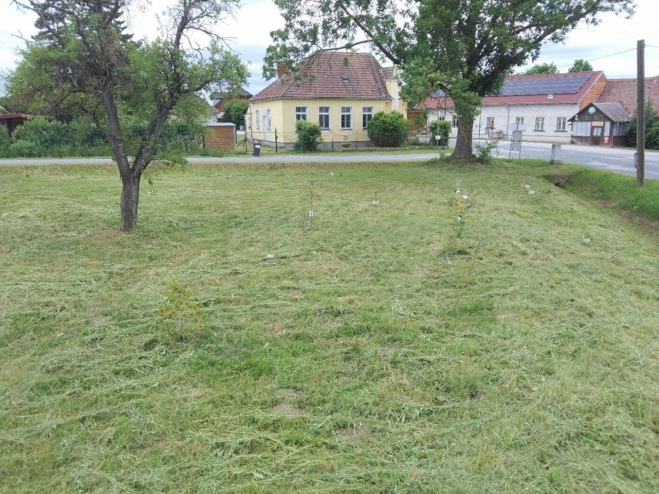Pronájem bytu 5+1 70 m², Heinrichsreith 28, Drosendorf-Zissersdorf, Dolní Rakousko Pronájem bytu 5+1 70 m², Heinrichsreith 28, Drosendorf-Zissersdorf, Dolní Rakousko