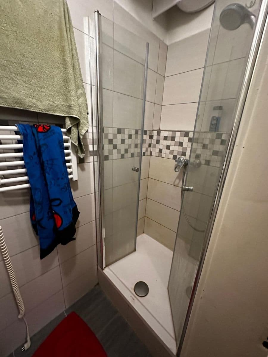 Pronájem bytu 1+1 38 m², Seifertova, Praha, Praha Pronájem bytu 1+1 38 m², Seifertova, Praha, Praha