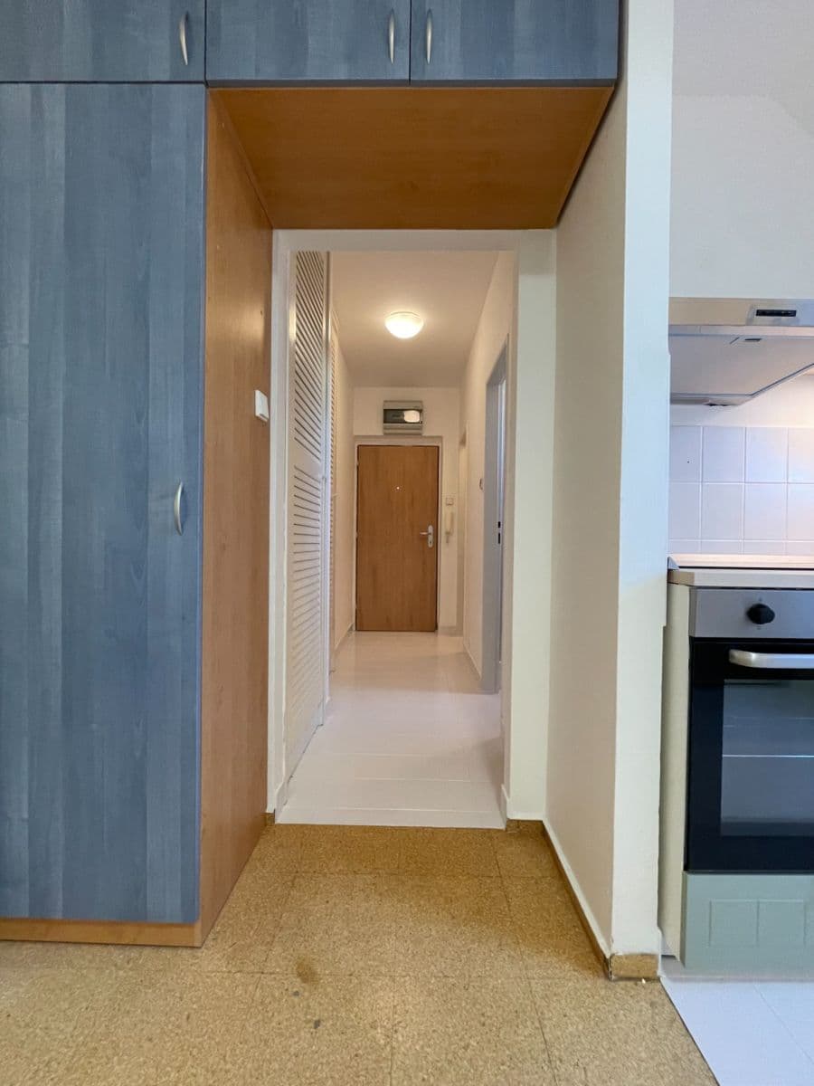 Pronájem bytu 1+kk 37 m², Högrova, Brno, Jihomoravský kraj Pronájem bytu 1+kk 37 m², Högrova, Brno, Jihomoravský kraj