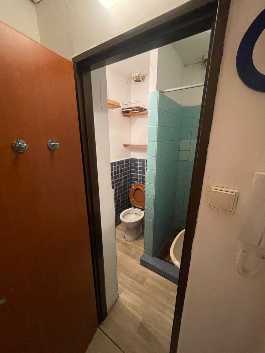 Pronájem bytu 1+kk 21 m², Dělnická, Praha, Praha Pronájem bytu 1+kk 21 m², Dělnická, Praha, Praha