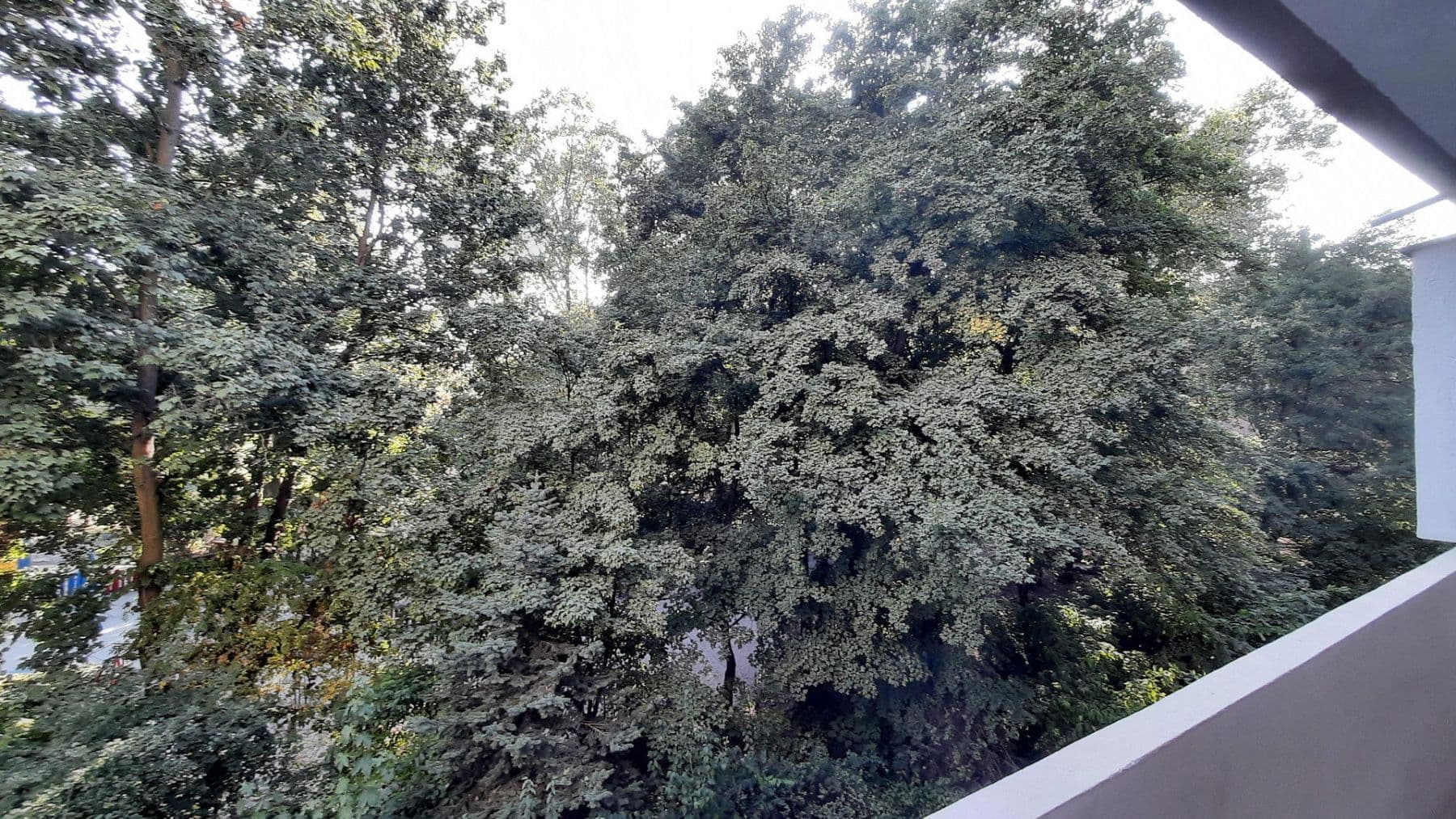 Prodej bytu 1+kk 37 m², Raupelsweg 9, Mainz, Porýní-Falc Prodej bytu 1+kk 37 m², Raupelsweg 9, Mainz, Porýní-Falc
