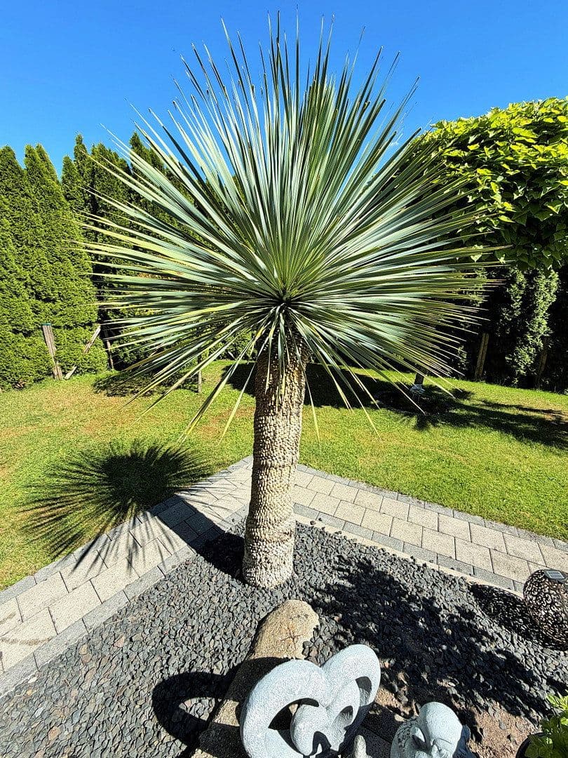 Prodej domu 120 m², pozemek 525 m², Schwäbisch Gmünd, Bádensko-Württembersko Prodej domu 120 m², pozemek 525 m², Schwäbisch Gmünd, Bádensko-Württembersko
