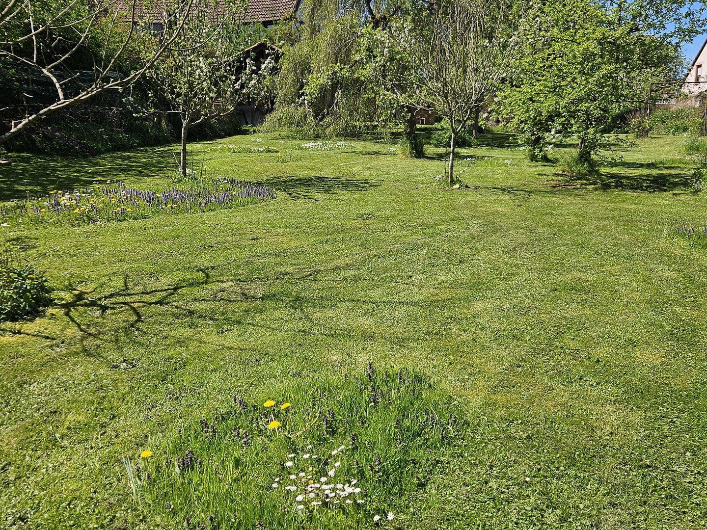 Prodej domu 264 m², pozemek 1.765 m², Niedermohr, Porýní-Falc Prodej domu 264 m², pozemek 1.765 m², Niedermohr, Porýní-Falc