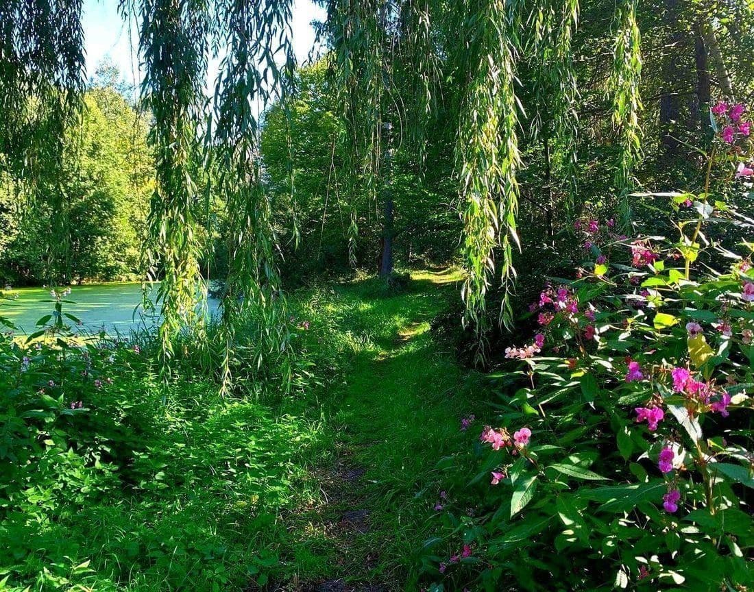 Prodej domu 1.007 m², pozemek 74.904 m², Buchenhain 32, Boitzenburger Land, Braniborsko Prodej domu 1.007 m², pozemek 74.904 m², Buchenhain 32, Boitzenburger Land, Braniborsko