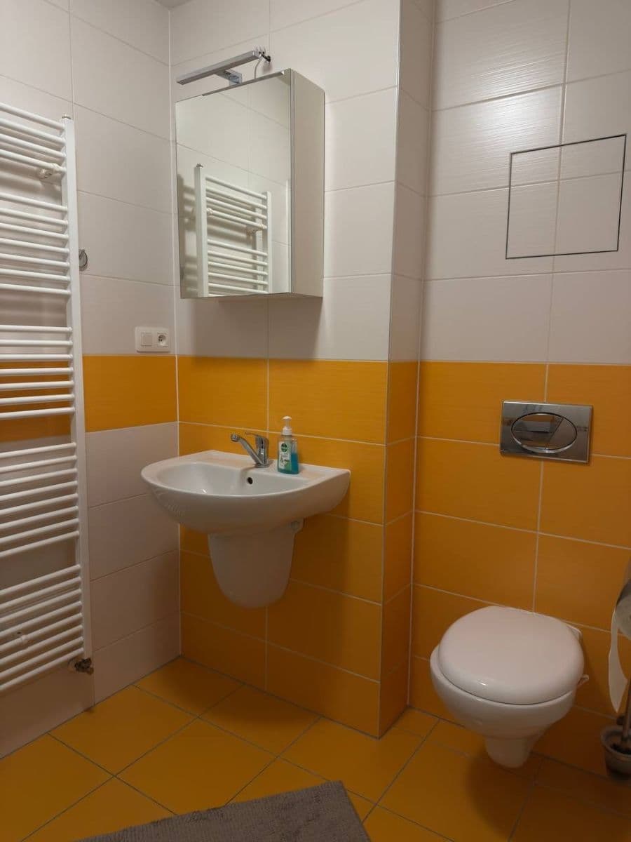 Pronájem bytu 1+kk 34 m², Běluňská, Praha, Praha Pronájem bytu 1+kk 34 m², Běluňská, Praha, Praha