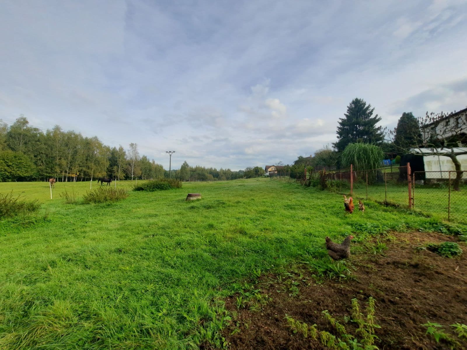 Prodej domu 415 m², pozemek 4.995 m², Petrovice u Karviné, Moravskoslezský kraj Prodej domu 415 m², pozemek 4.995 m², Petrovice u Karviné, Moravskoslezský kraj