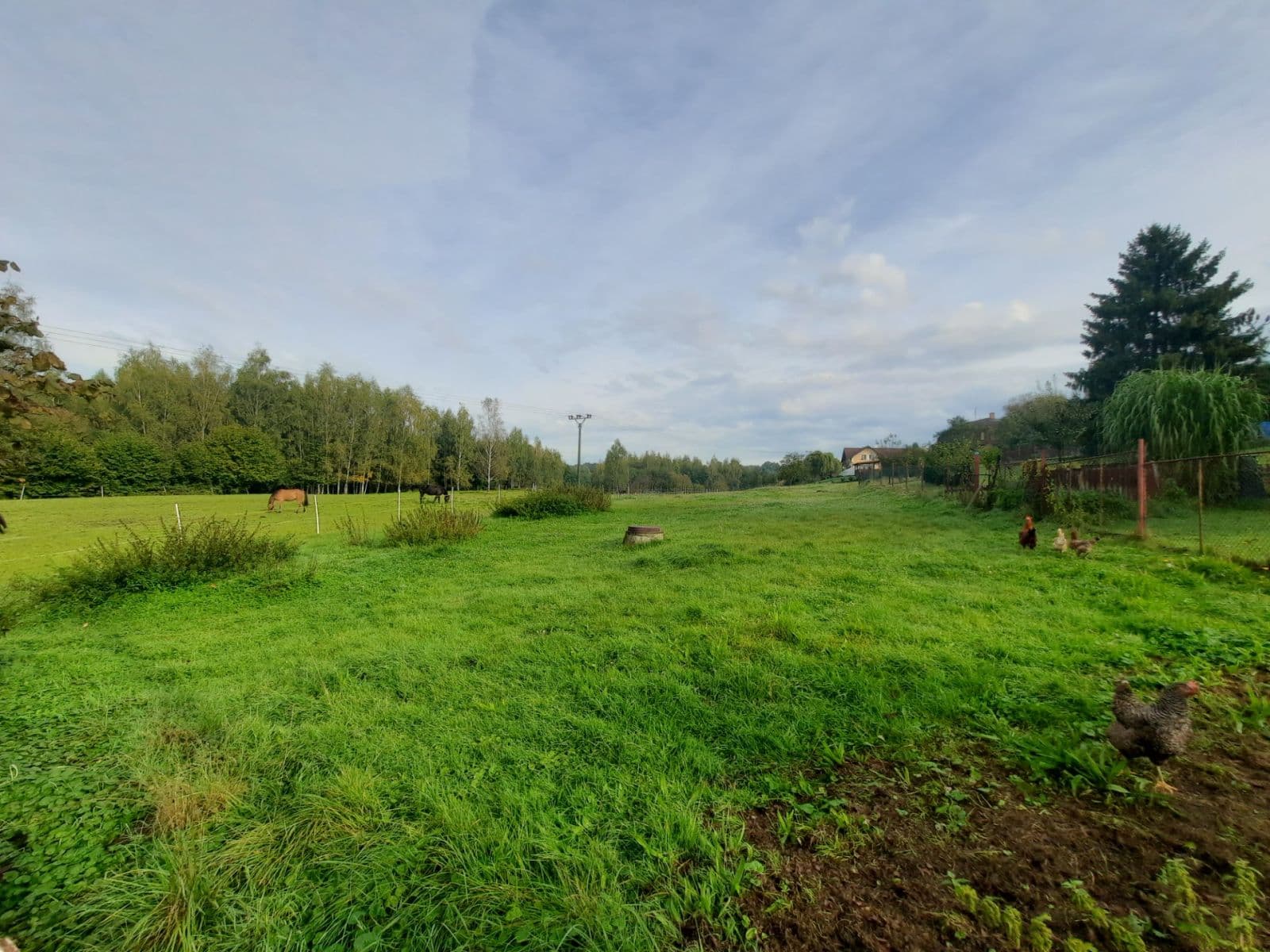 Prodej domu 415 m², pozemek 4.995 m², Petrovice u Karviné, Moravskoslezský kraj Prodej domu 415 m², pozemek 4.995 m², Petrovice u Karviné, Moravskoslezský kraj