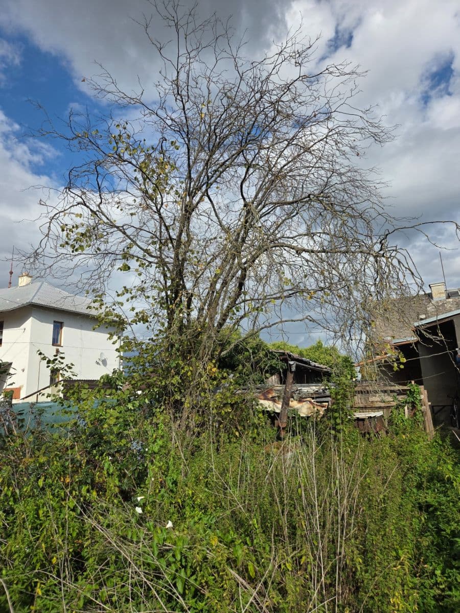 Prodej domu 105 m², pozemek 579 m², Vítězná, Litovel, Olomoucký kraj Prodej domu 105 m², pozemek 579 m², Vítězná, Litovel, Olomoucký kraj