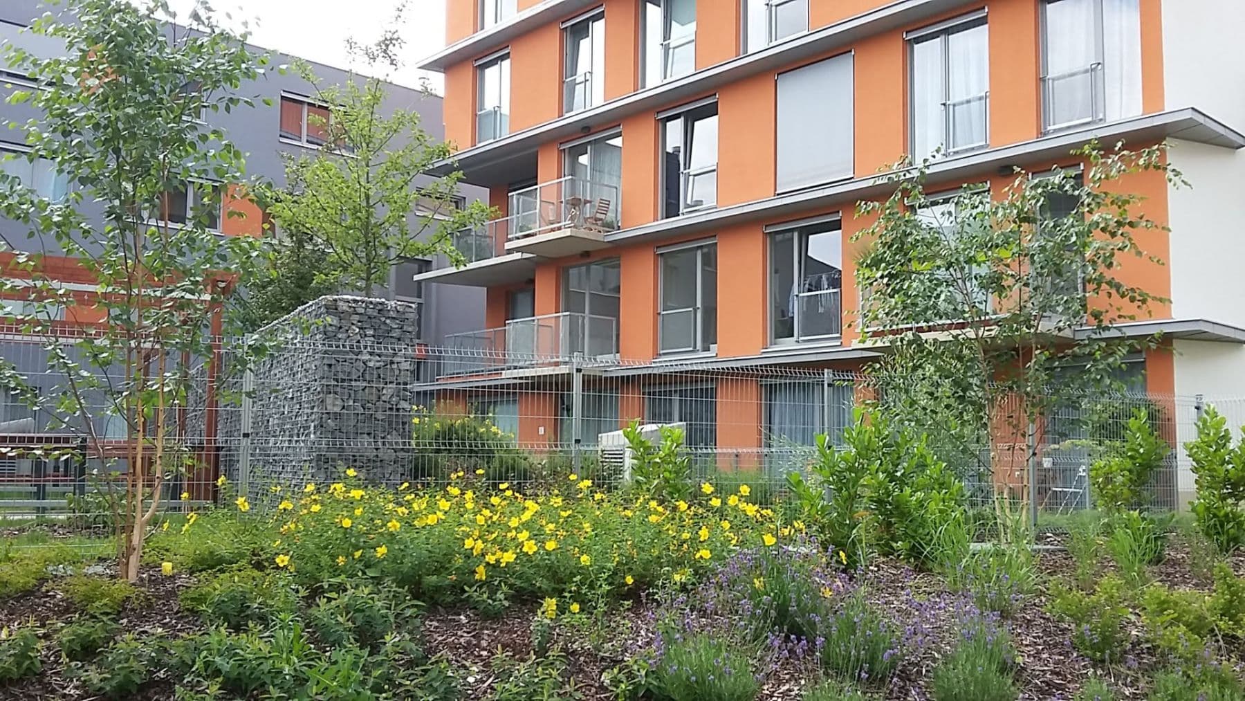 Pronájem bytu 2+kk 52 m², Olgy Havlové, Praha, Praha Pronájem bytu 2+kk 52 m², Olgy Havlové, Praha, Praha