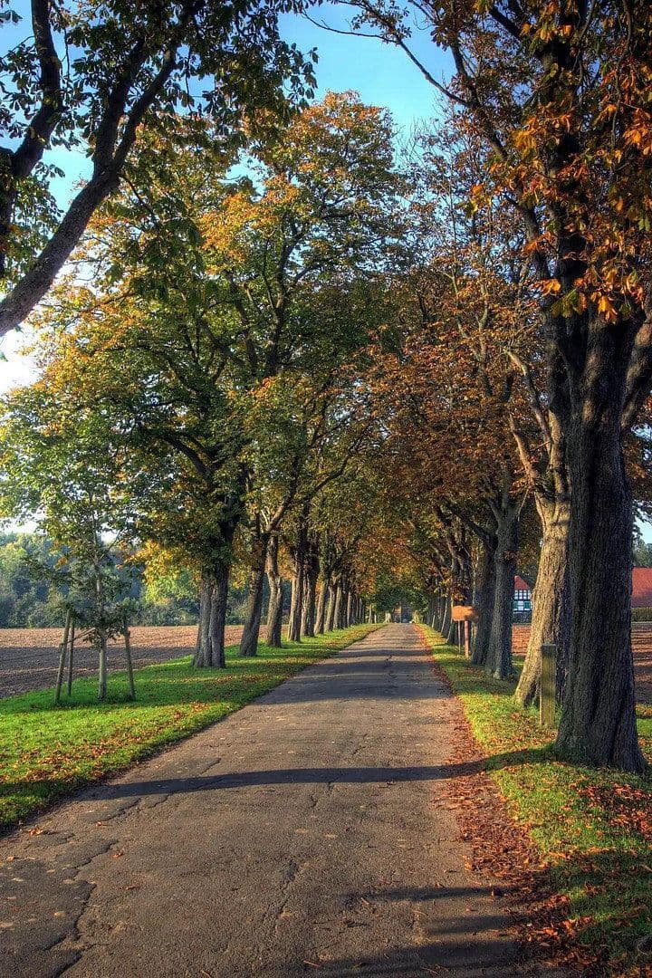 Pronájem bytu 3+1 90 m², Borgholzhausen, Severní Porýní-Vestfálsko Pronájem bytu 3+1 90 m², Borgholzhausen, Severní Porýní-Vestfálsko