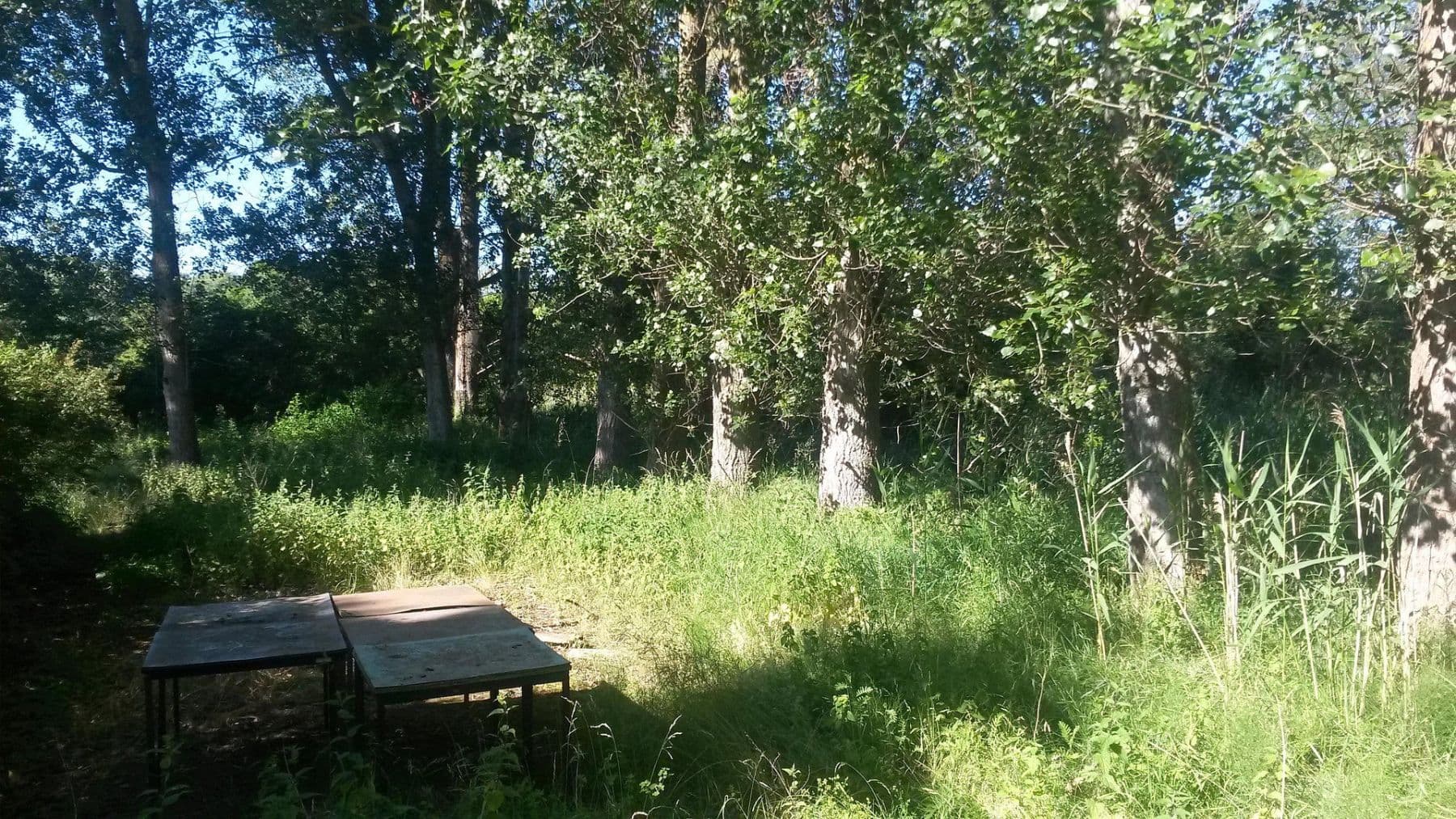 Prodej pozemku 1.370 m², Peenemünde, Mecklenburg-Vorpommern Prodej pozemku 1.370 m², Peenemünde, Mecklenburg-Vorpommern