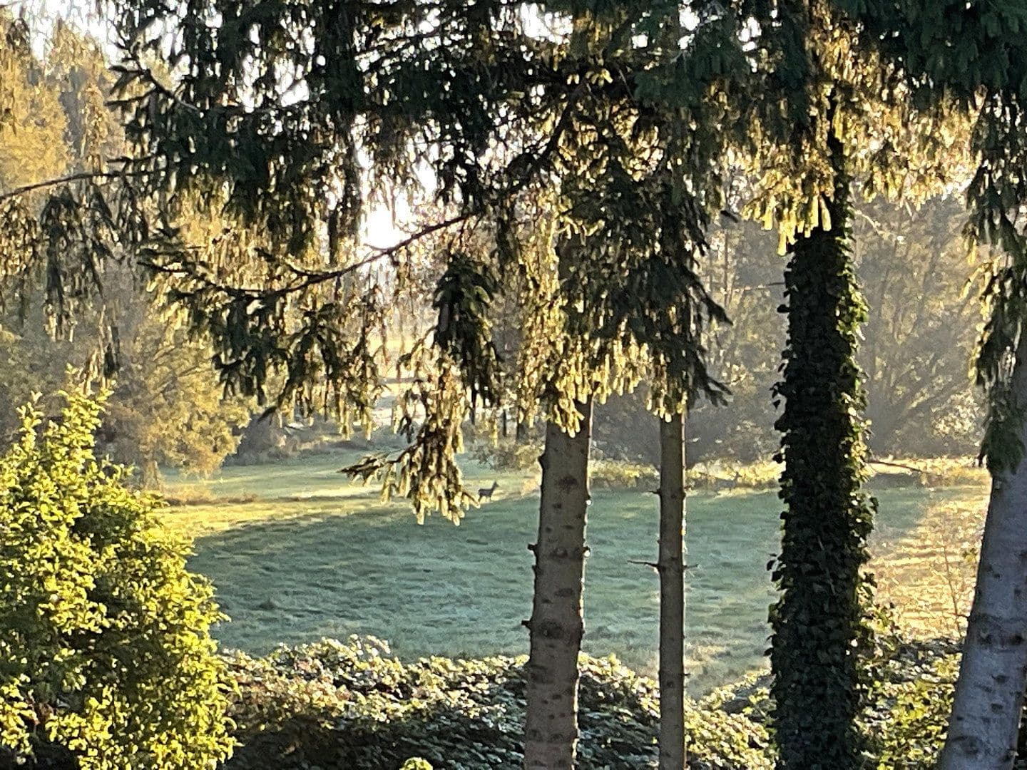 Prodej domu 203 m², pozemek 900 m², Poseritz, Mecklenburg-Vorpommern Prodej domu 203 m², pozemek 900 m², Poseritz, Mecklenburg-Vorpommern