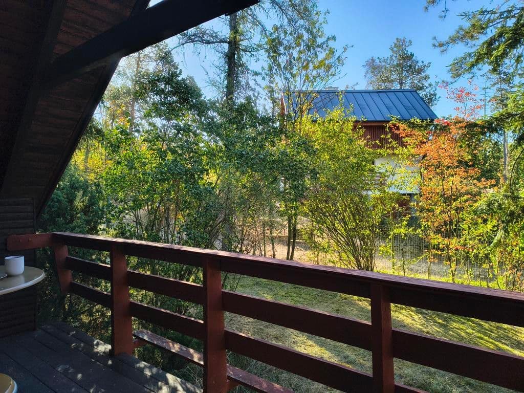 Prodej chaty, chalupy 72 m², pozemek 397 m², Stará Huť, Středočeský kraj Prodej chaty, chalupy 72 m², pozemek 397 m², Stará Huť, Středočeský kraj