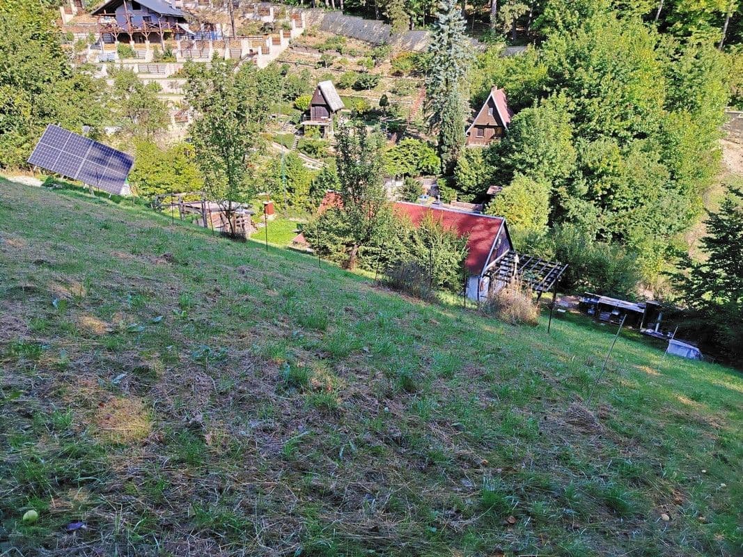 Prodej chaty, chalupy 55 m², pozemek 3.136 m², Letohrad, Pardubický kraj Prodej chaty, chalupy 55 m², pozemek 3.136 m², Letohrad, Pardubický kraj