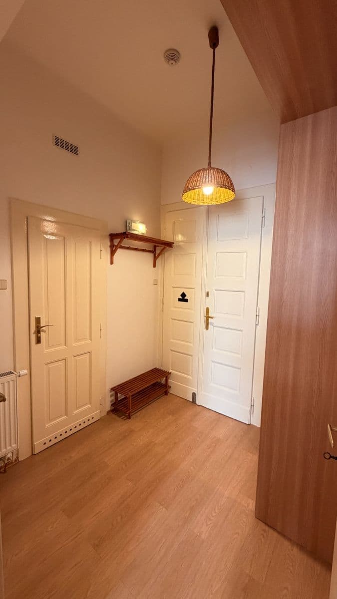 Pronájem bytu 1+1 50 m², Haškova, Praha, Praha Pronájem bytu 1+1 50 m², Haškova, Praha, Praha