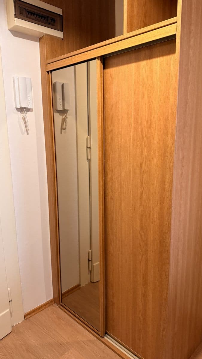 Pronájem bytu 1+1 50 m², Haškova, Praha, Praha Pronájem bytu 1+1 50 m², Haškova, Praha, Praha