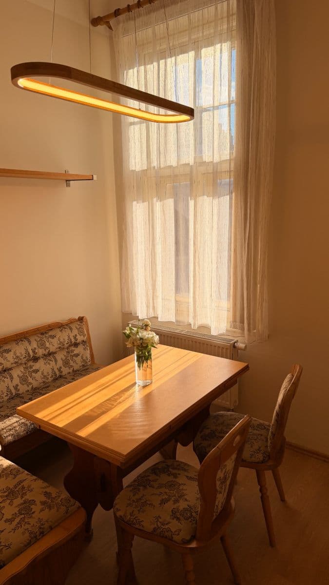 Pronájem bytu 1+1 50 m², Haškova, Praha, Praha Pronájem bytu 1+1 50 m², Haškova, Praha, Praha