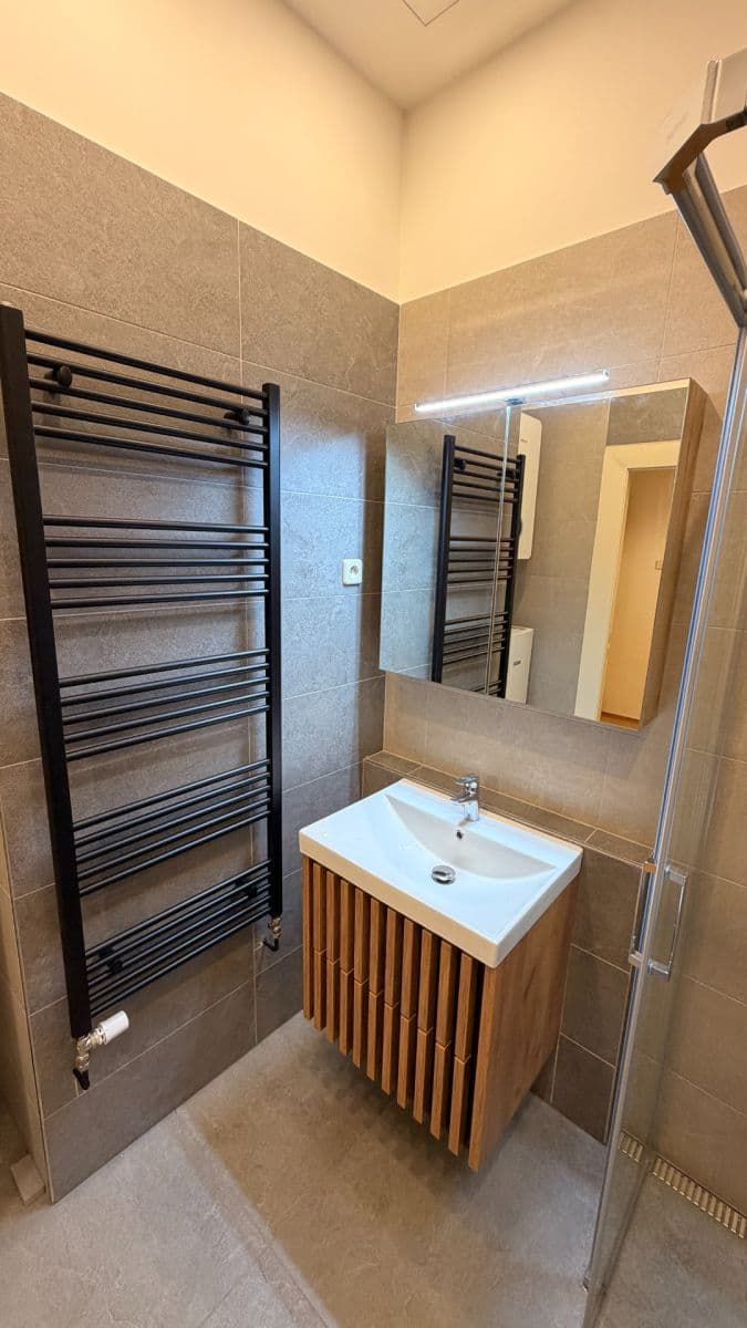 Pronájem bytu 1+1 50 m², Haškova, Praha, Praha Pronájem bytu 1+1 50 m², Haškova, Praha, Praha