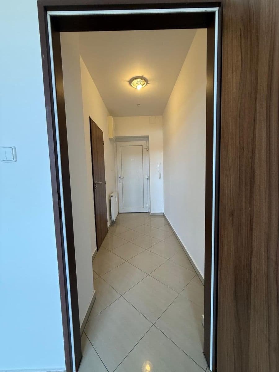 Pronájem bytu 1+kk 26 m², Svitavská, Brno, Jihomoravský kraj Pronájem bytu 1+kk 26 m², Svitavská, Brno, Jihomoravský kraj