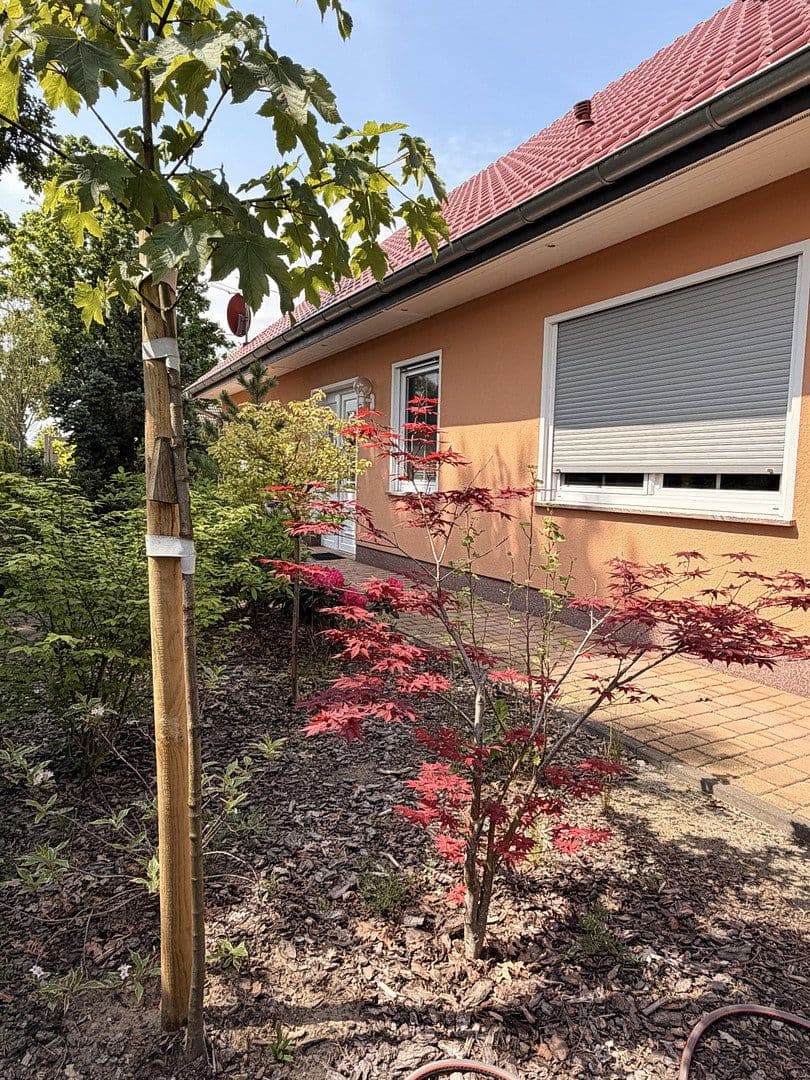 Prodej domu 176 m², pozemek 720 m², Oranienburg, Braniborsko Prodej domu 176 m², pozemek 720 m², Oranienburg, Braniborsko