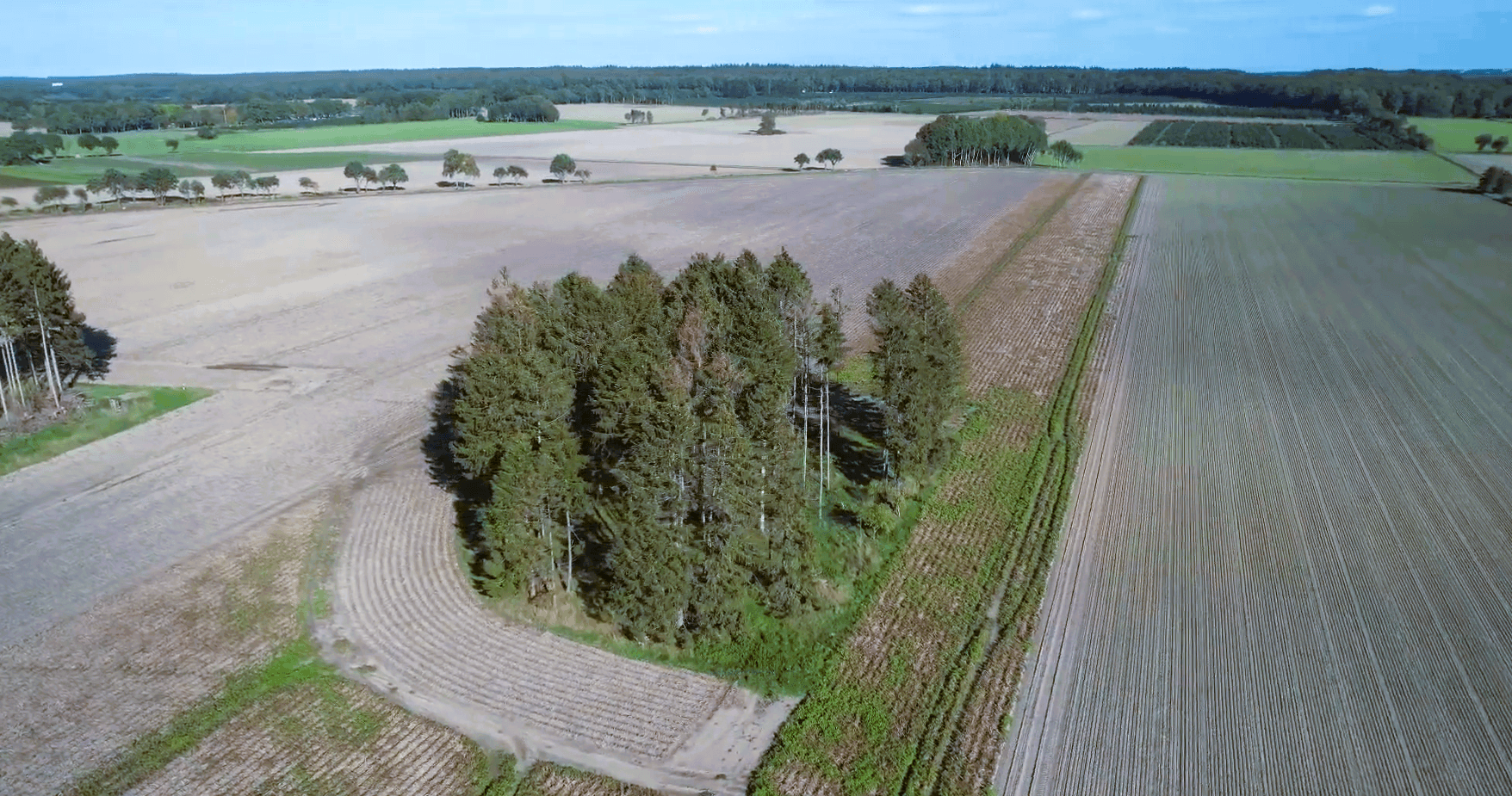 Prodej domu 418 m², pozemek 5.380 m², Hollenstedt, Dolní Sasko Prodej domu 418 m², pozemek 5.380 m², Hollenstedt, Dolní Sasko