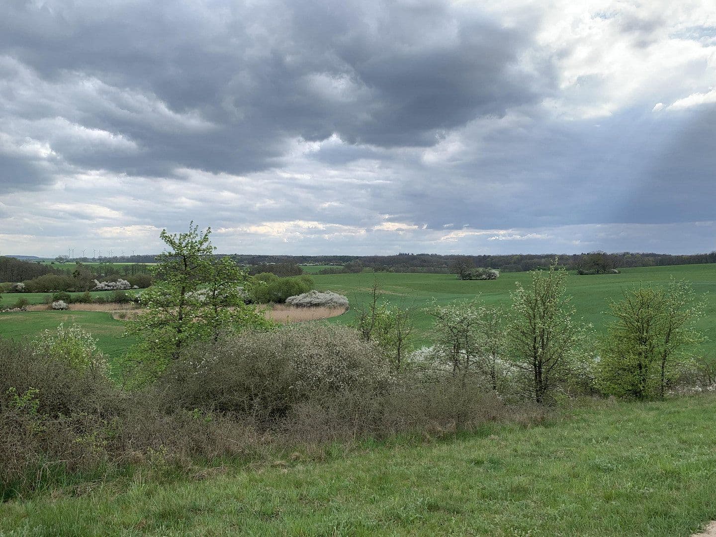 Prodej domu 110 m², pozemek 5.200 m², Oberuckersee, Braniborsko Prodej domu 110 m², pozemek 5.200 m², Oberuckersee, Braniborsko
