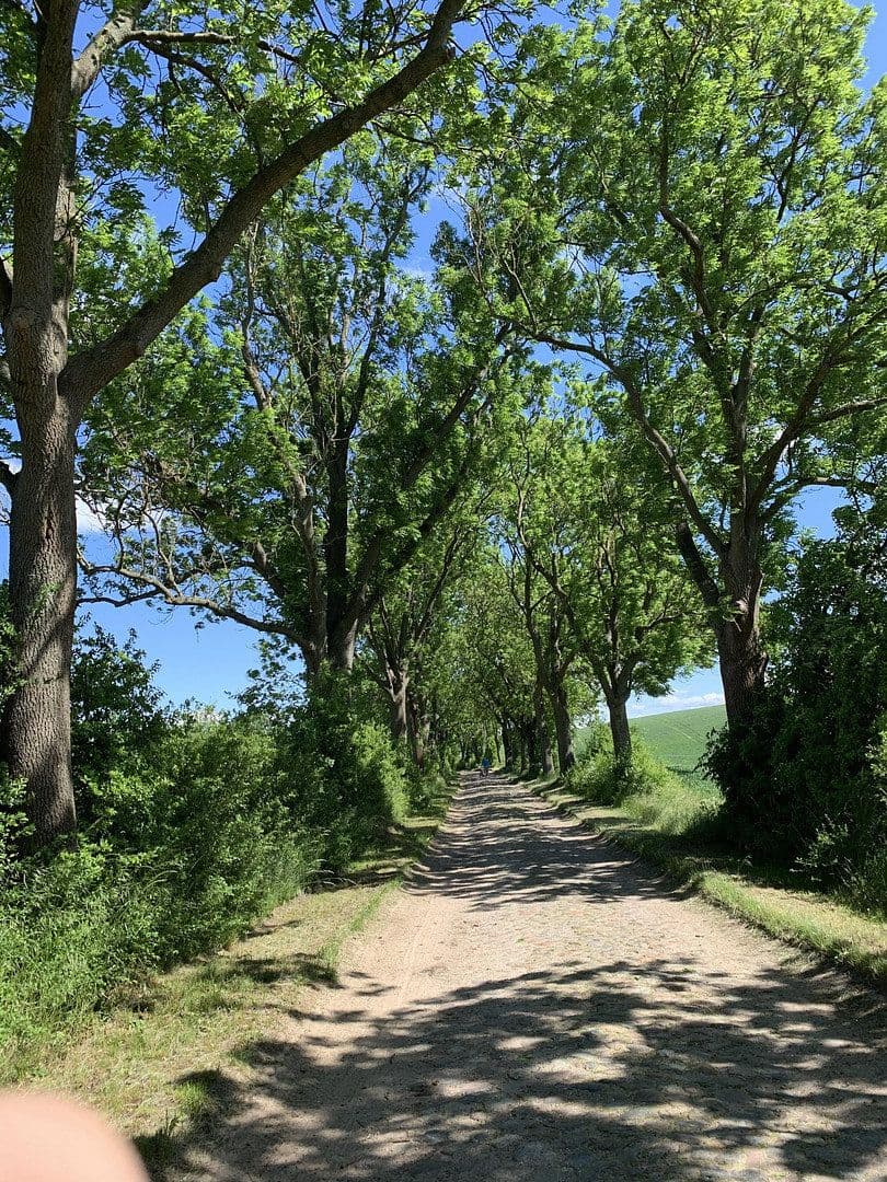 Prodej domu 110 m², pozemek 5.200 m², Oberuckersee, Braniborsko Prodej domu 110 m², pozemek 5.200 m², Oberuckersee, Braniborsko