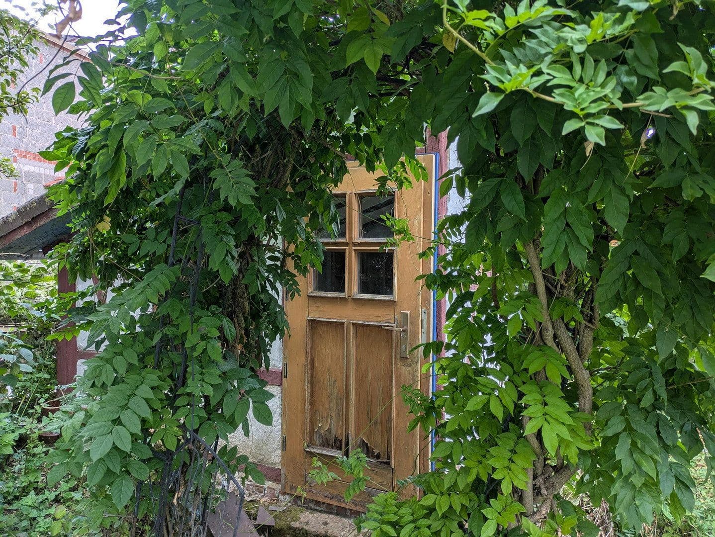 Pronájem domu 170 m², pozemek 345 m², Brachttal, Hessen Pronájem domu 170 m², pozemek 345 m², Brachttal, Hessen