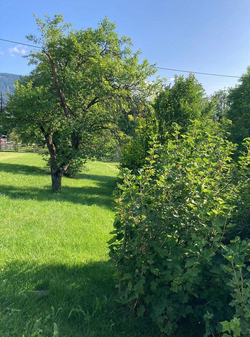 Prodej pozemku 1.123 m², Tachenberg, Aigen im Ennstal, Štýrsko Prodej pozemku 1.123 m², Tachenberg, Aigen im Ennstal, Štýrsko