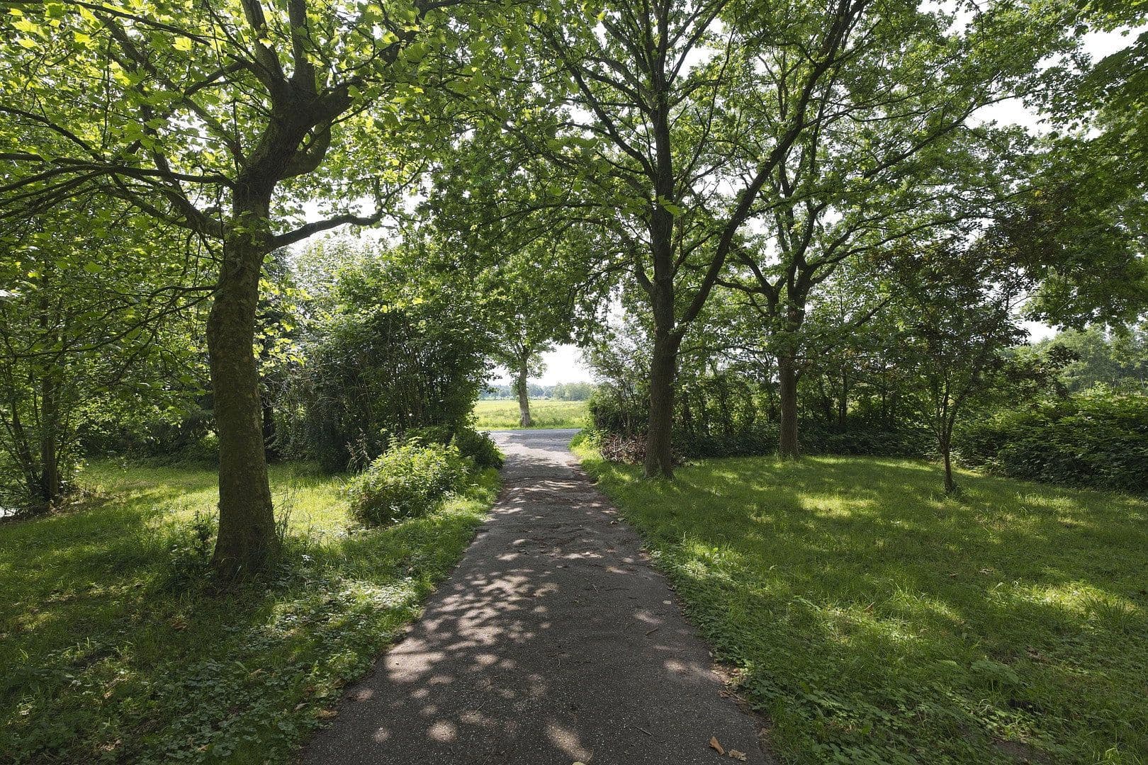 Prodej domu 126 m², pozemek 3.600 m², Hochdonn, Šlesvicko-Holštýnsko Prodej domu 126 m², pozemek 3.600 m², Hochdonn, Šlesvicko-Holštýnsko