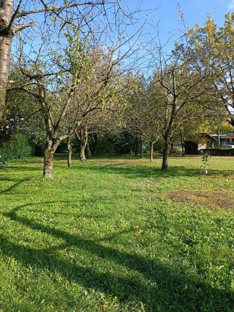 Prodej bytu 4+1 92 m², Kreuzlingerstrasse 18, Friedrichshafen, Bádensko-Württembersko Prodej bytu 4+1 92 m², Kreuzlingerstrasse 18, Friedrichshafen, Bádensko-Württembersko