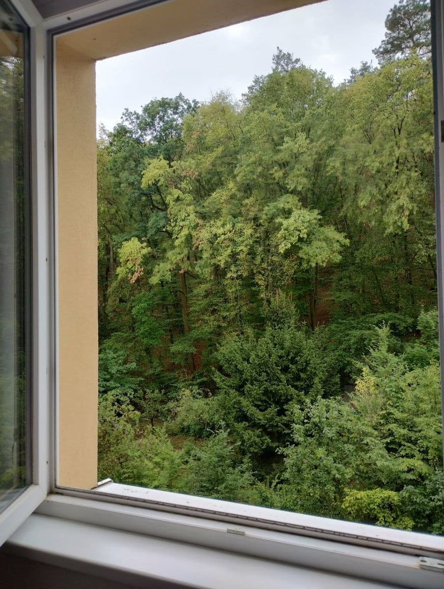 Pronájem bytu 1+1 34 m², Jasanová, Brno, Jihomoravský kraj Pronájem bytu 1+1 34 m², Jasanová, Brno, Jihomoravský kraj