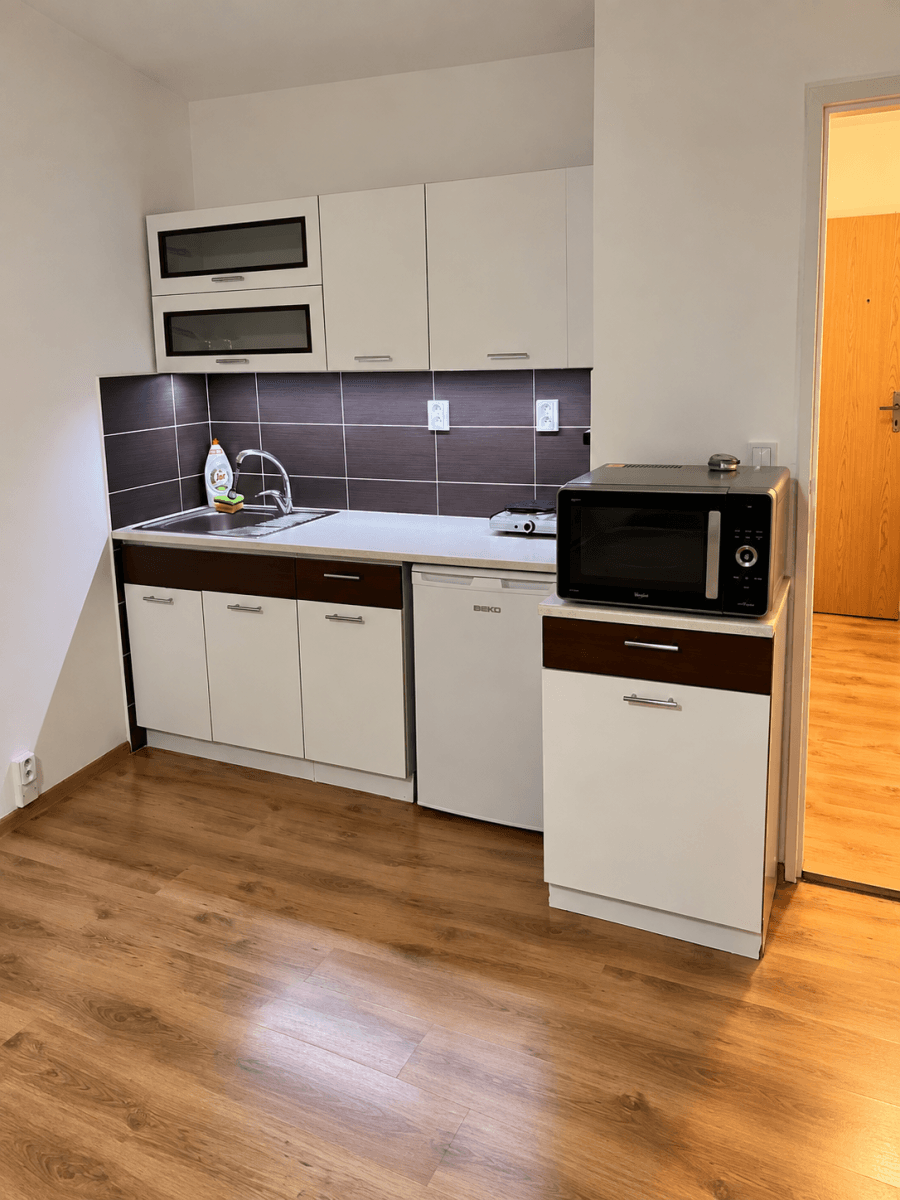 Pronájem bytu 1+kk 26 m², U Parku, Ostrava, Moravskoslezský kraj Pronájem bytu 1+kk 26 m², U Parku, Ostrava, Moravskoslezský kraj