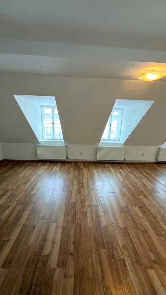 Pronájem bytu 1+kk 40 m², Růžová, Liberec, Liberecký kraj Pronájem bytu 1+kk 40 m², Růžová, Liberec, Liberecký kraj