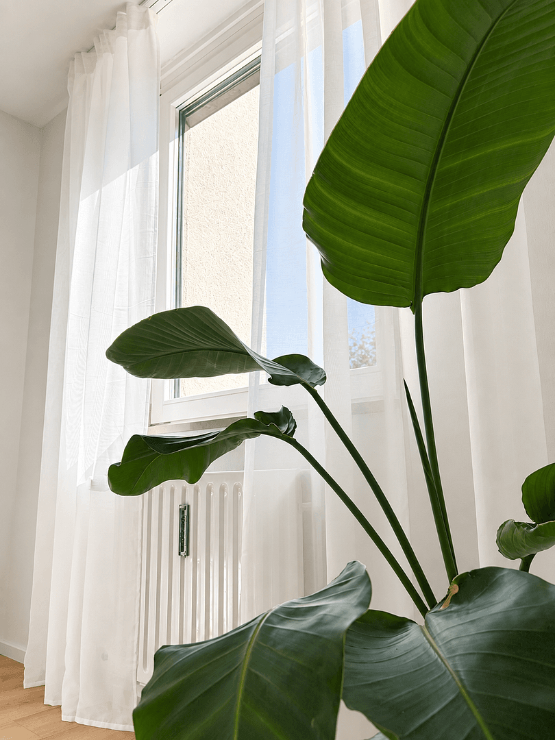 Prodej bytu 3+1 79 m², München, Bavorsko Prodej bytu 3+1 79 m², München, Bavorsko
